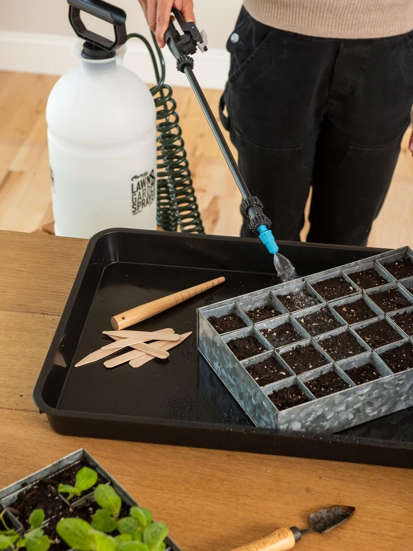 Sprayer Tank With Coil Hose Wand - Image 2