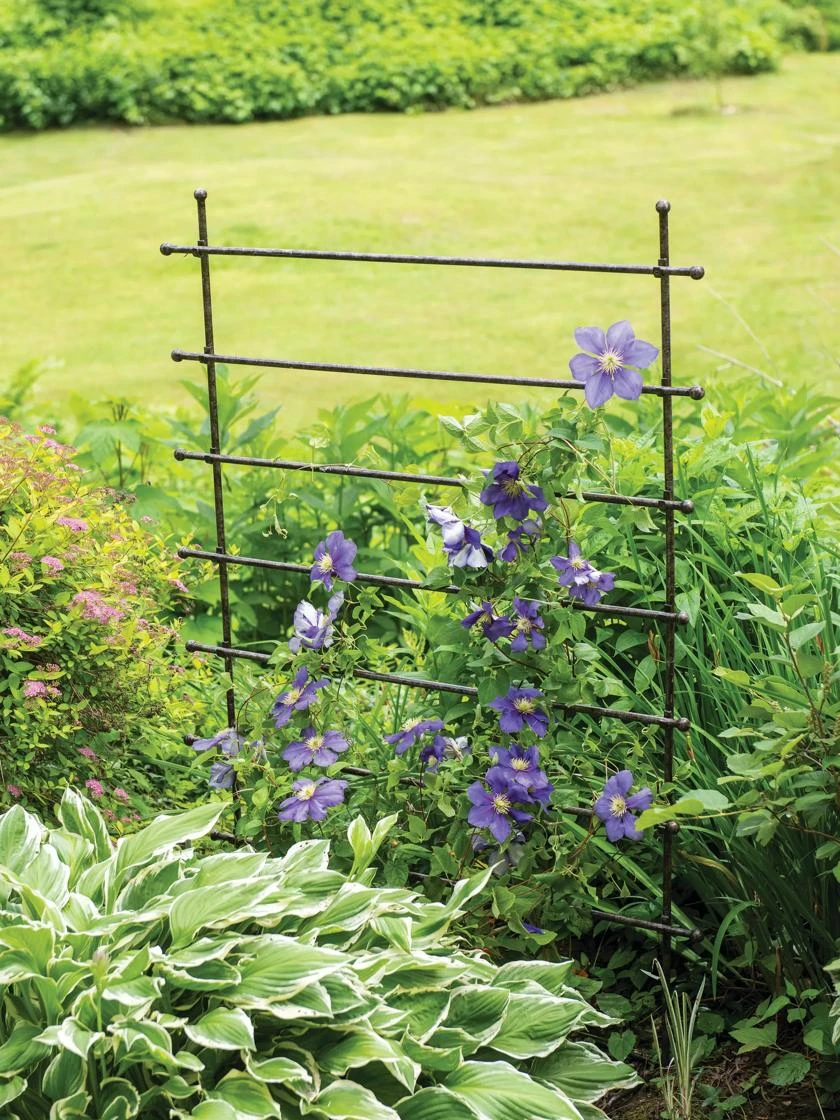 Jardin Ladder Trellis