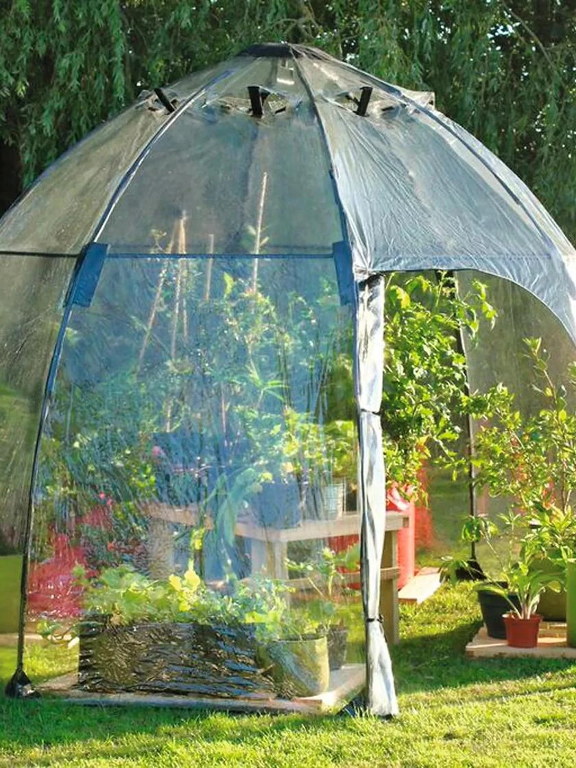 Sunbubble Greenhouse - Image 3