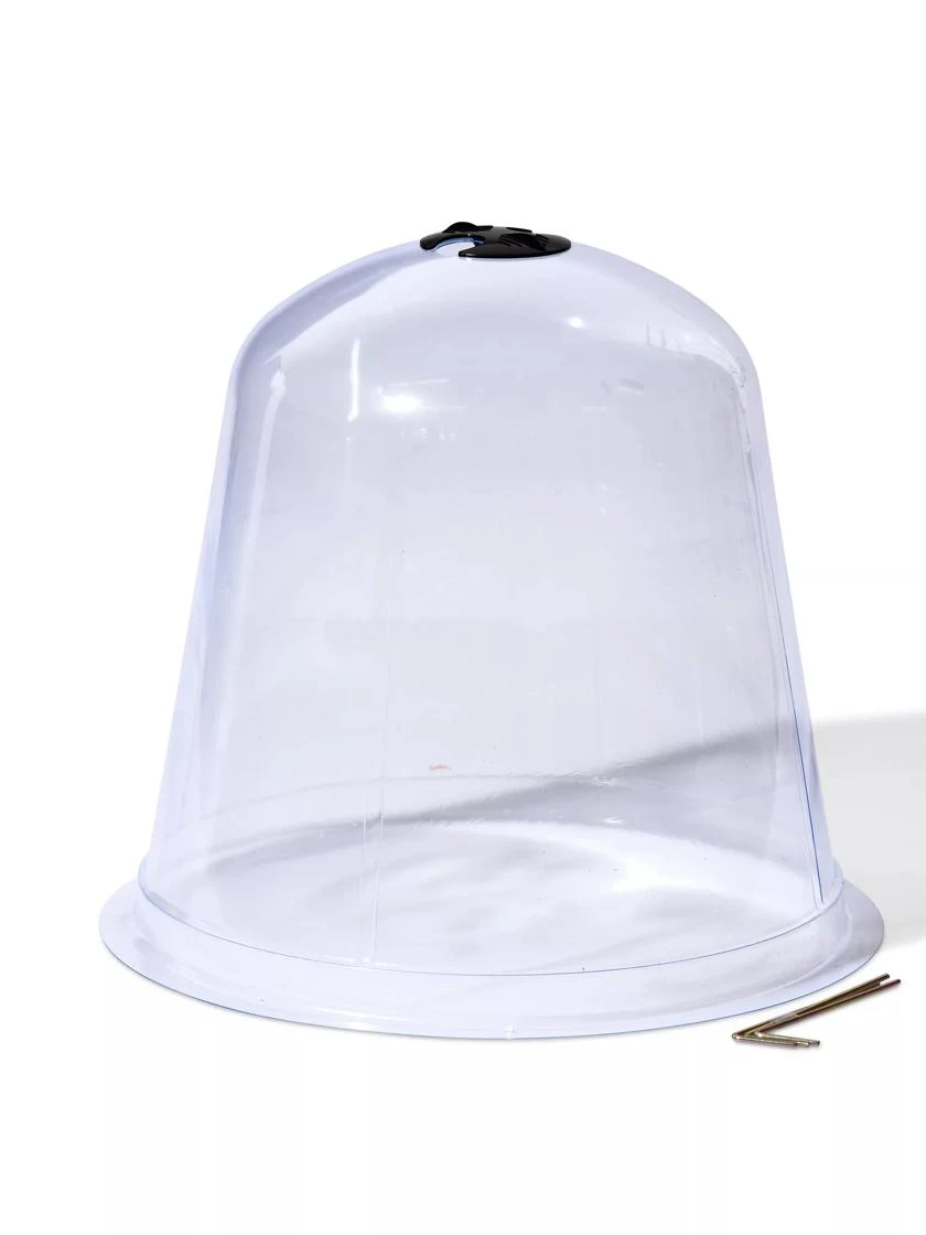 Large Garden Cloches, Set Of 3 - Image 2