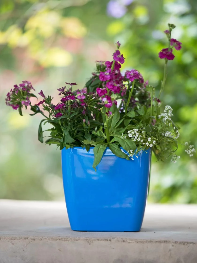 Viva Square Self-Watering Planter, 7" Diameter - Image 3