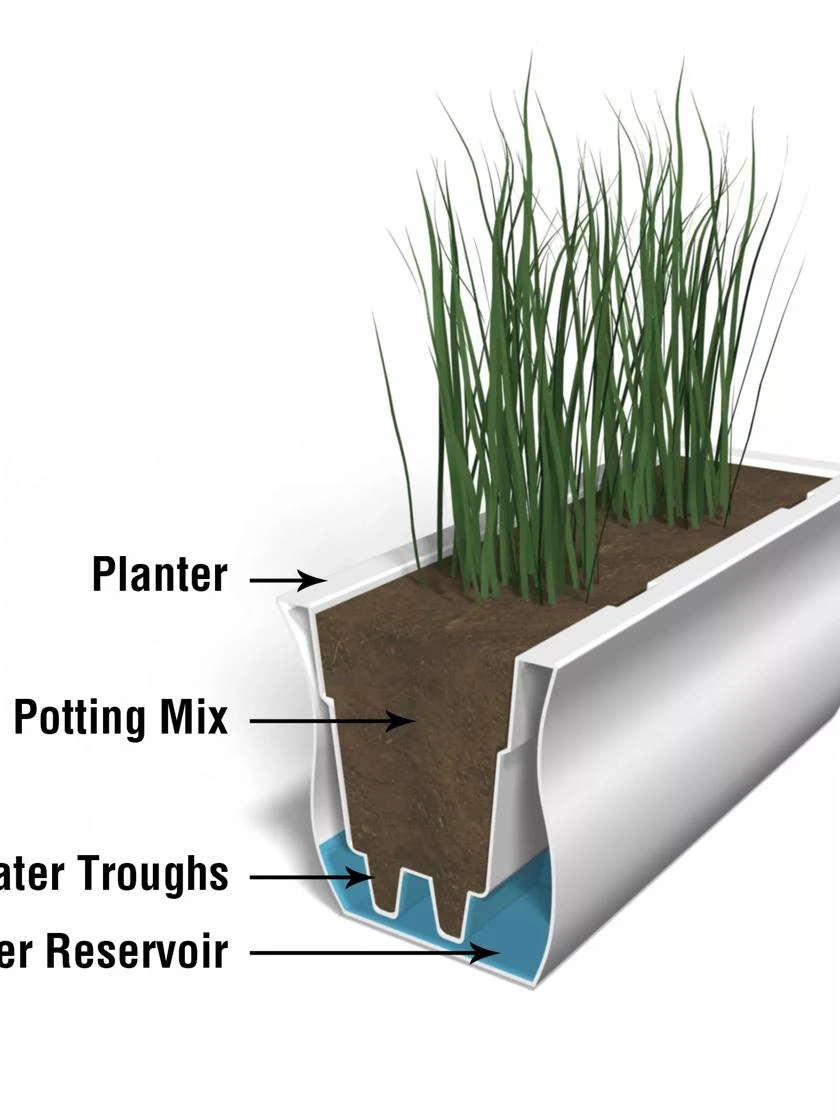 Valencia Window Box, 3' - Image 4