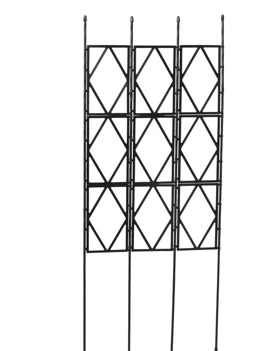Diamond Trellis - Image 2