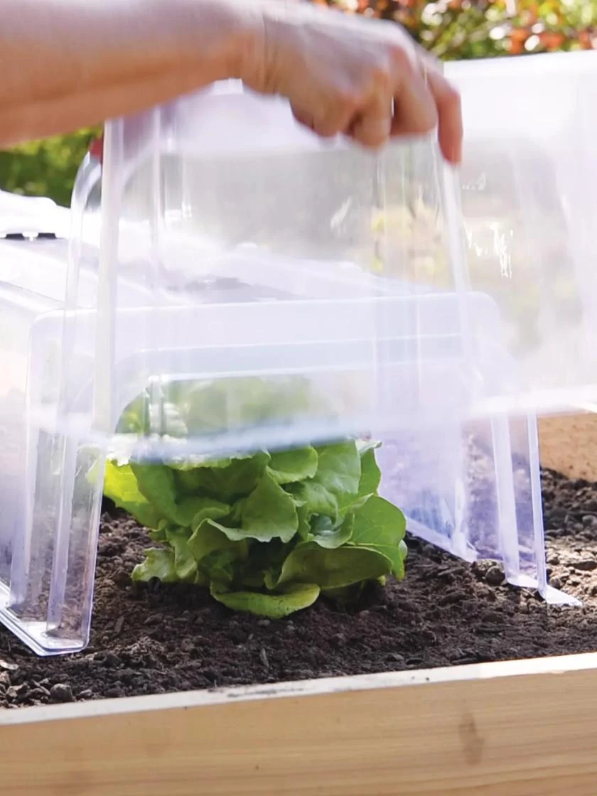 Cool Weather Row Cloche Ends, Set Of 2 - Image 2