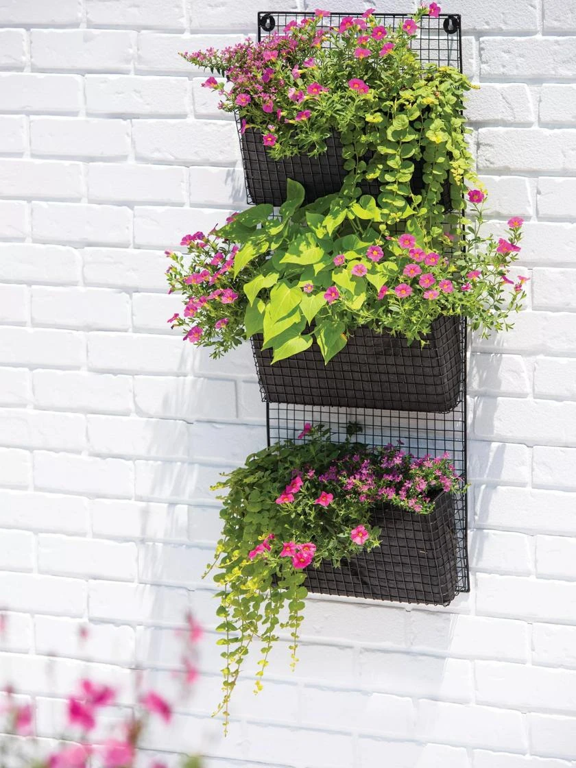 Wire Wall Pockets Vertical Gardens