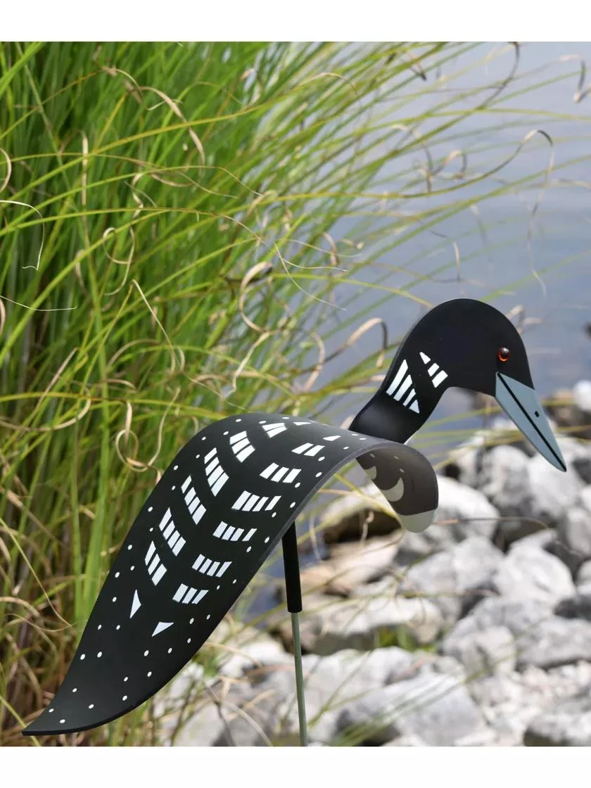 Florida Dancing Birds®, Loon - Image 2