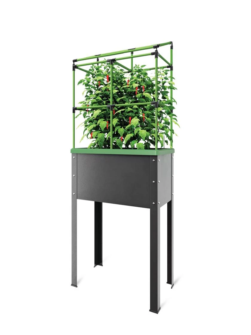 City JungleĀ® Heidelberg Tomato Trellis
