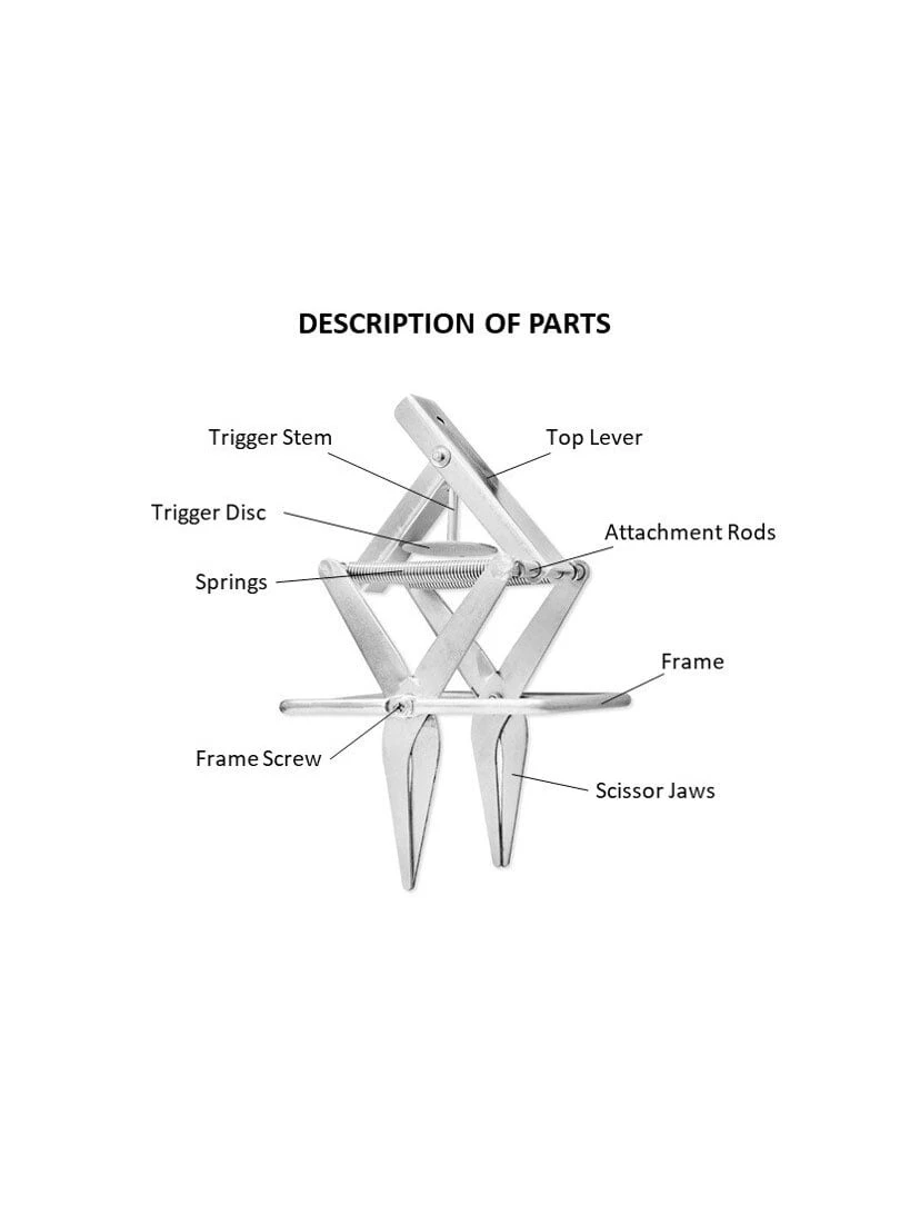 Easy Mole Trap - Image 4