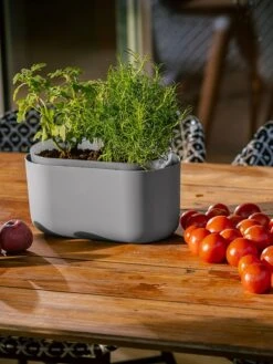 Tolita Recycled Self-Watering Flower Box